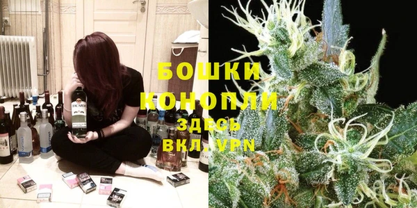 гашик Гусиноозёрск