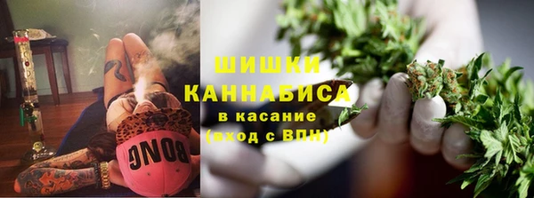 мдпв Гусь-Хрустальный
