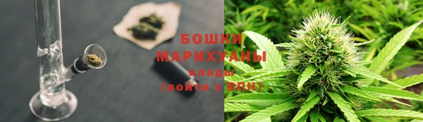 мдпв Гусь-Хрустальный