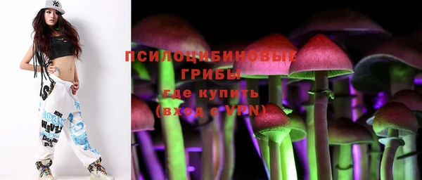 гашик Гусиноозёрск