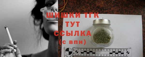 мдпв Гусь-Хрустальный