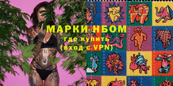 мдпв Гусь-Хрустальный