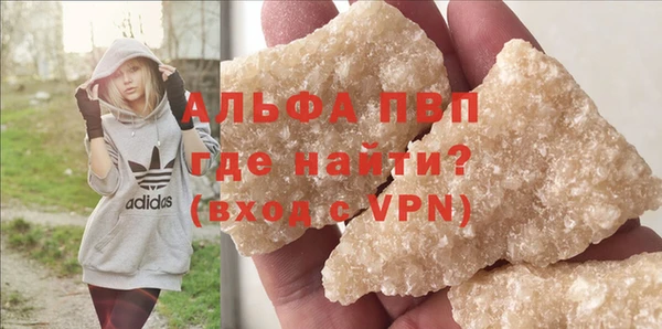 стаф Гусев