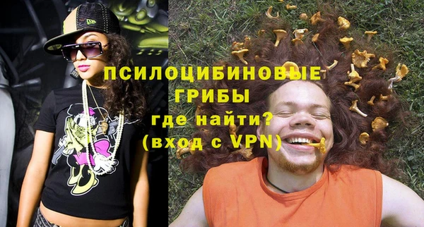 мдпв Гусь-Хрустальный