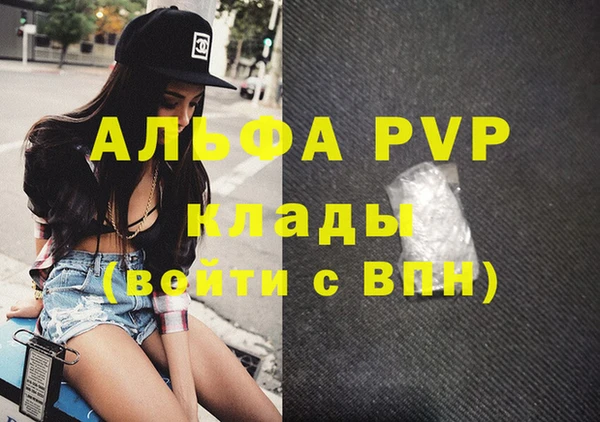 мдпв Гусь-Хрустальный