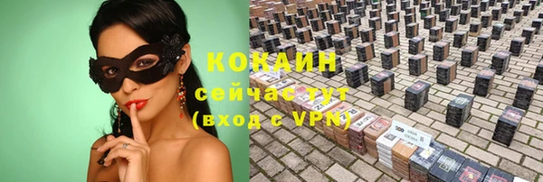 стаф Гусев