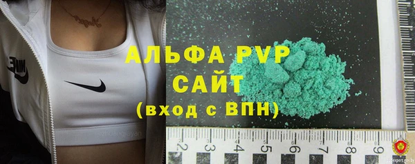 гашик Гусиноозёрск